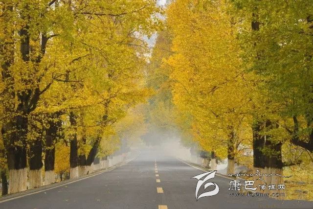 康定新都橋，有一條黃金大道通往夢(mèng)中的天堂