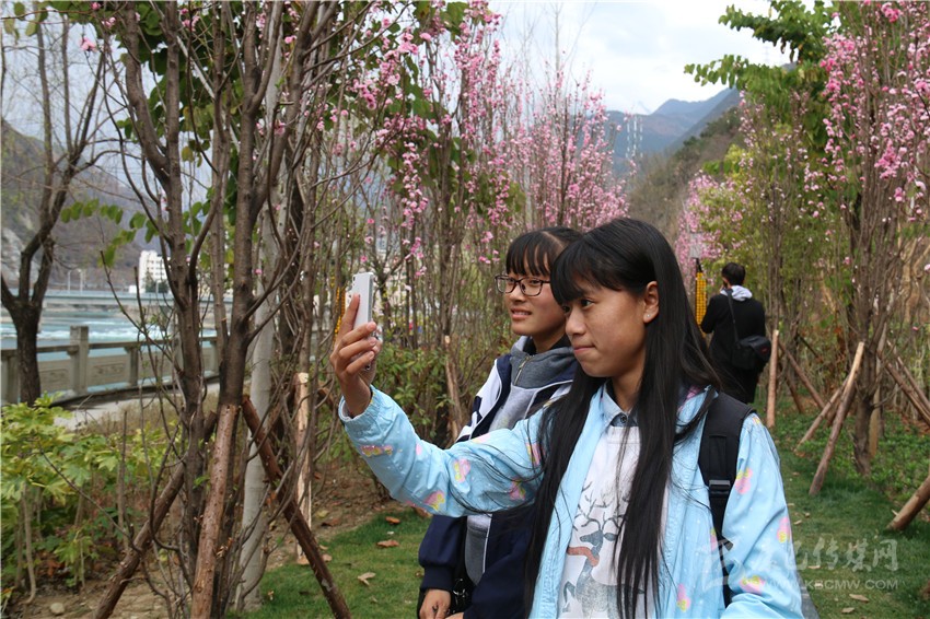 春光俏！“醉”是瀘定春三月，踏青賞花正當(dāng)時