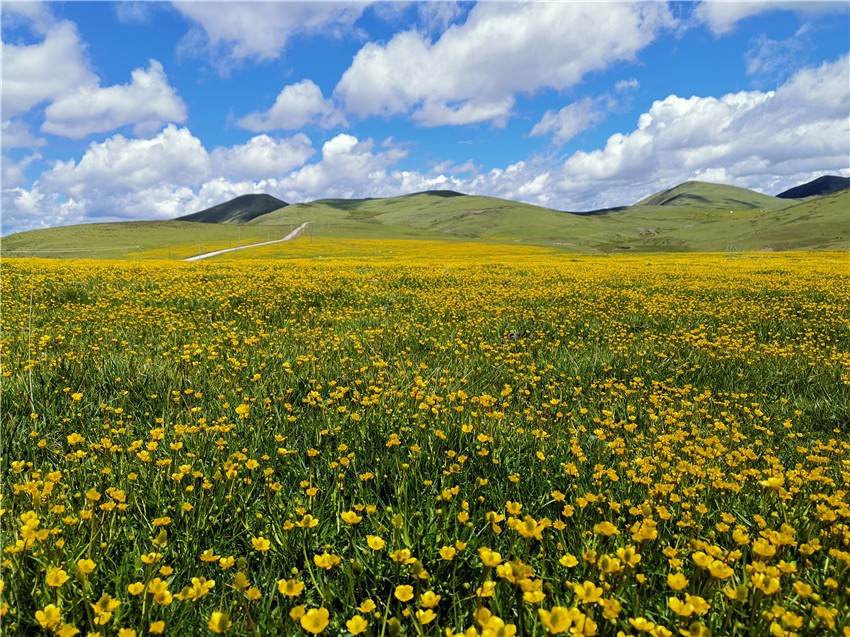 祝?；ê? 任剛.jpg