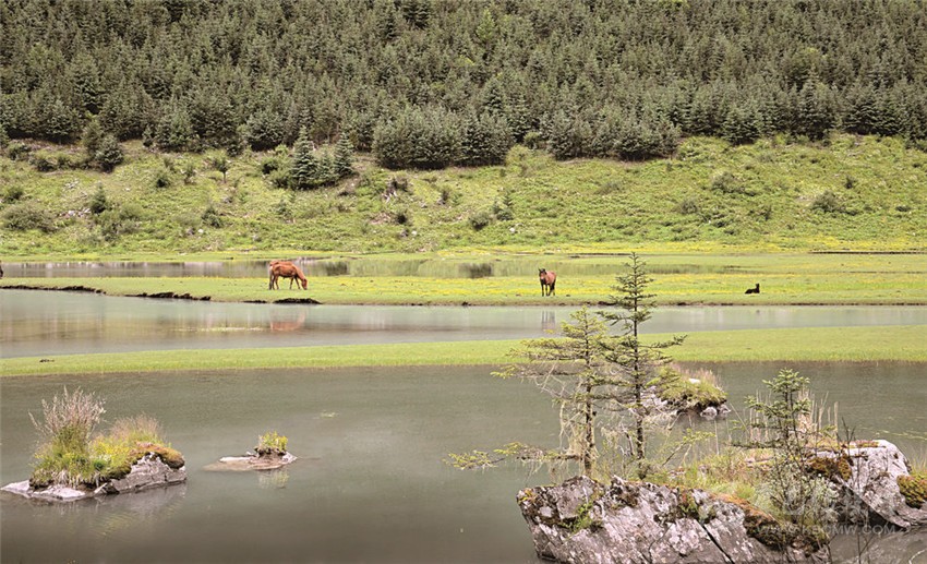 去甘孜 邂逅絕美湖泊海子！